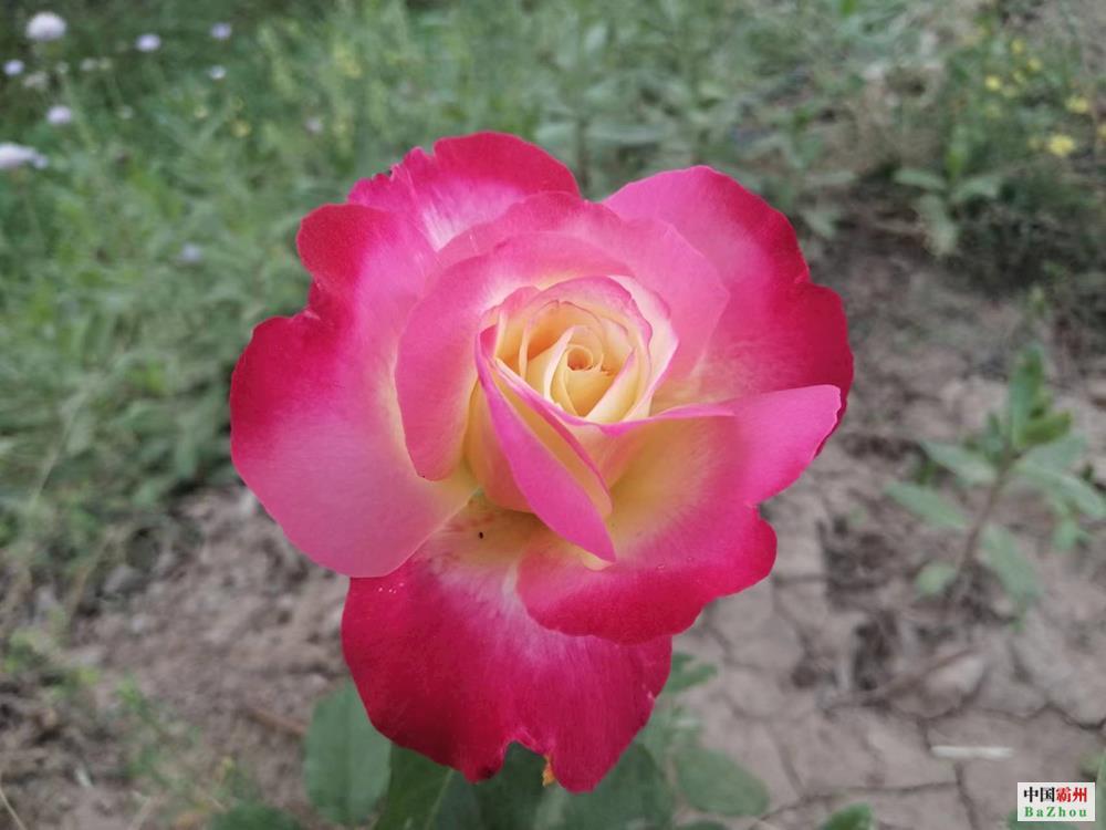 4a0b74171b7c40f1add3d2e90974f3a4.jpg