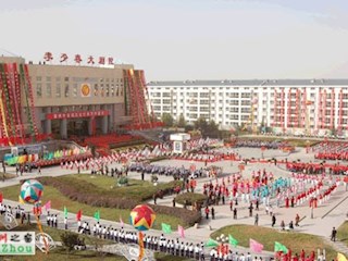 霸州市首屆文化藝術(shù)節(jié)開幕式
