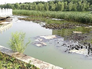 市建設(shè)局治理牤牛河油污污染