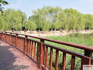 霸州市生態(tài)園