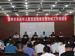 我市召開全市未成年人思想道德建設(shè)暨創(chuàng)城工作培訓(xùn)會(huì)