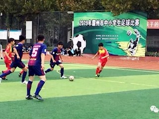 綠茵場上放飛夢想——霸州市2019年青少年足球比賽圓滿結(jié)束