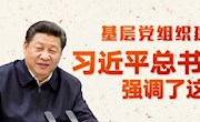 圖解：基層黨組織建設(shè)，習(xí)近平總書(shū)記強(qiáng)調(diào)了這些