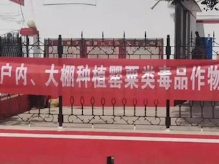 全市禁毒鏟毒工作穩(wěn)步推進