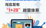 扎實穩(wěn)定全省經(jīng)濟(jì)運行 河北發(fā)布“1+20”政策體系