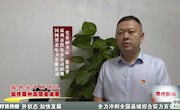 【真抓實(shí)干轉(zhuǎn)作風(fēng)、加快霸州高質(zhì)量發(fā)展】——“一把手”訪談 國網(wǎng)冀北電力有限公司霸州市供電分公司經(jīng)理、黨委副書記 范東升 