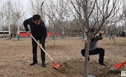 市四套班子領(lǐng)導參加義務(wù)植樹活動