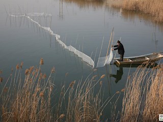 影像記錄丨河北廊坊霸州：古鎮(zhèn)風(fēng)光（七）