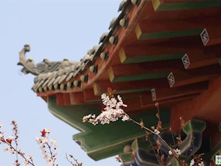影像記錄丨河北廊坊霸州：古鎮(zhèn)風(fēng)光（十）