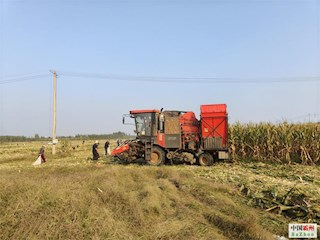 河北霸州：搶抓農(nóng)時 秋收秋種