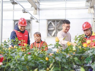 霸州市供電公司煎茶鋪供電所： 保供電優(yōu)服務(wù) 花卉“溫暖度冬”