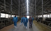 市長張淼到部分企業(yè)走訪調研