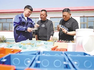 駐村工作組積極搭橋 為受災(zāi)群眾重建家園