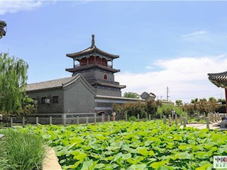 影像記錄丨河北霸州勝芳鎮(zhèn)建設(shè)：濕地公園水清岸綠景美