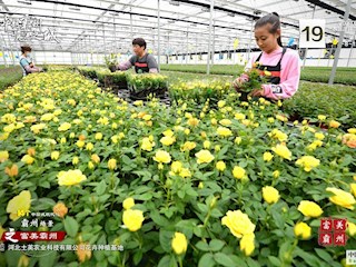 14個(gè)中國(guó)式現(xiàn)代化霸州場(chǎng)景之富美霸州