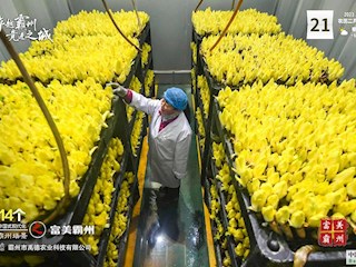 14個中國式現(xiàn)代化霸州場景之富美霸州