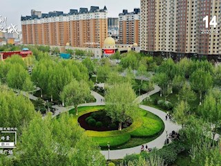 14個中國式現(xiàn)代化霸州場景之生態(tài)霸州
