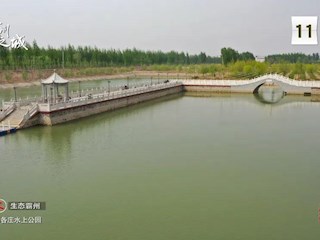 14個中國式現(xiàn)代化霸州場景之生態(tài)霸州